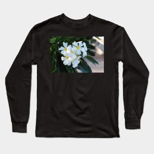 Frangipani or Yellow and White Flower Barbados Spring Long Sleeve T-Shirt